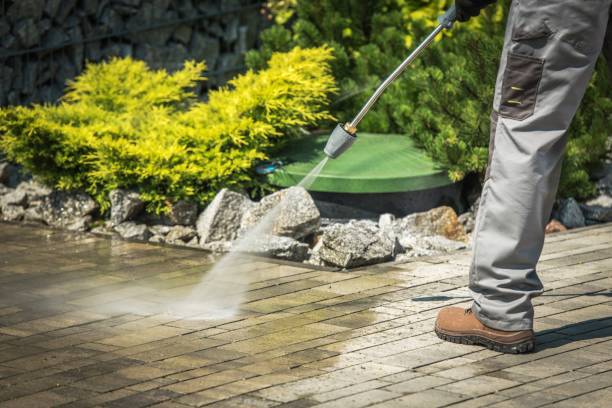 Professional Pressure Washing Services in Montz, LA
